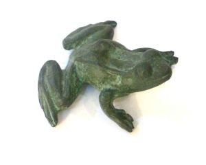 Rana patinata verde